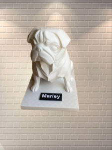 WhatsApp_Image_2025-07-07_at_12.28.43_PM__1_-removebg-preview