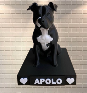 Imagen_de_WhatsApp_2025-08-15_a_las_16.13.16_e3341db2-removebg-preview